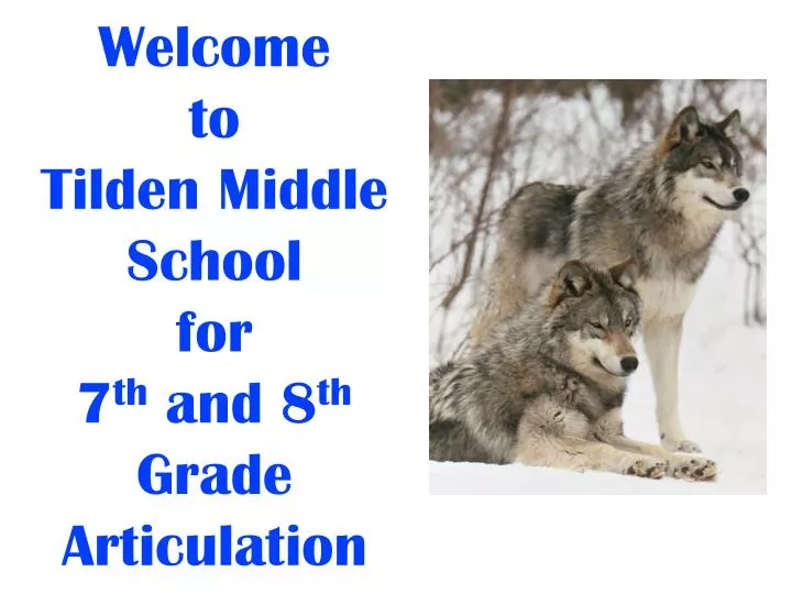 welcome to tilden middle school for 7 th and 8 th grade articulation