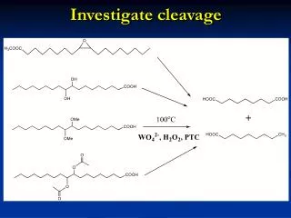 Investigate cleavage