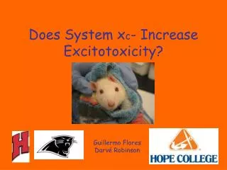 Does System x c - Increase Excitotoxicity?