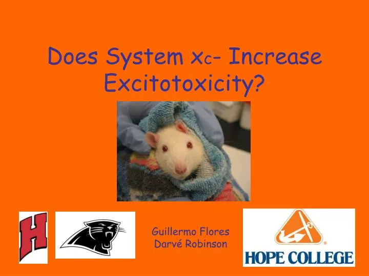 does system x c increase excitotoxicity