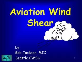 Aviation Wind Shear