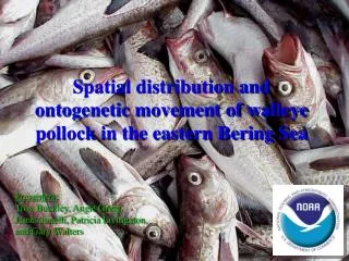 Spatial distribution and ontogenetic movement of walleye pollock in the eastern Bering Sea