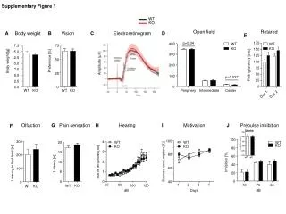 Supplementary Figure 1