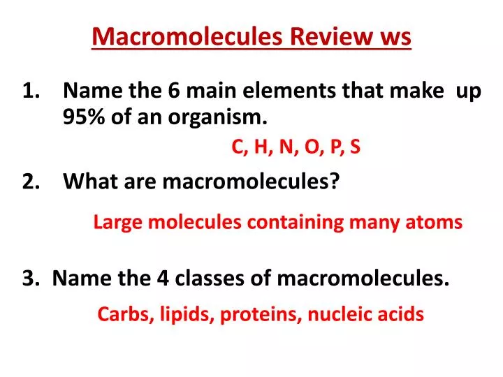 macromolecules review ws