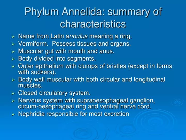 phylum annelida summary of characteristics