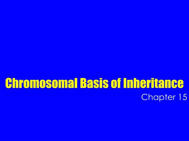 chromosomal basis of inheritance