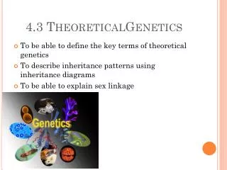 4.3 TheoreticalGenetics