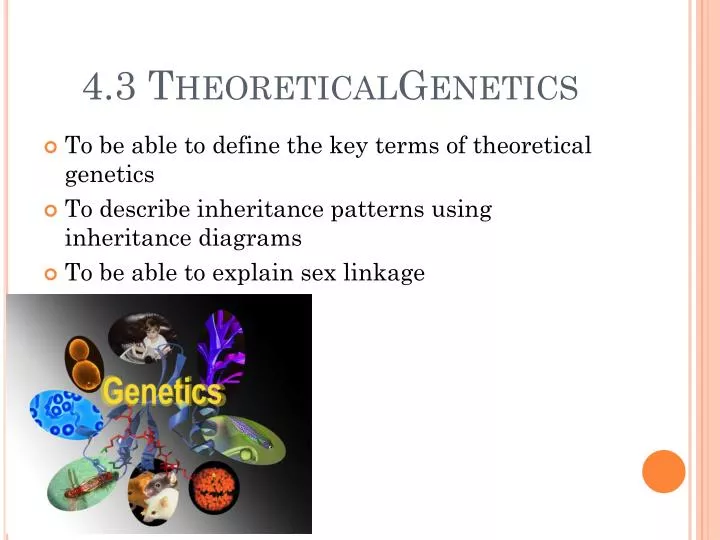 4 3 theoreticalgenetics