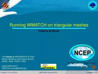 Running WWATCH on triangular meshes