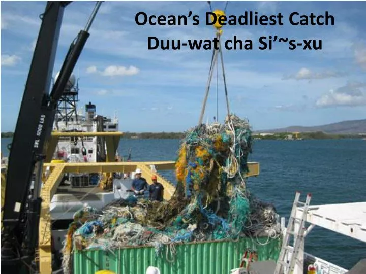 ocean s deadliest catch duu wat cha si s xu