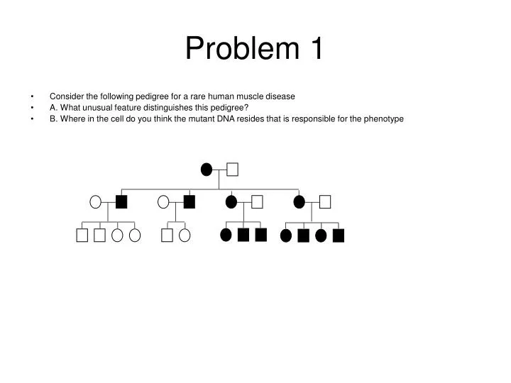 problem 1