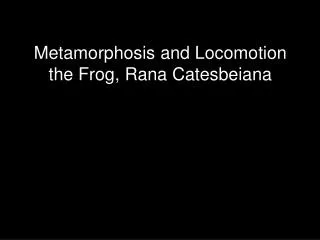 Metamorphosis and Locomotion the Frog, Rana Catesbeiana