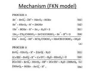 Mechanism (FKN model)