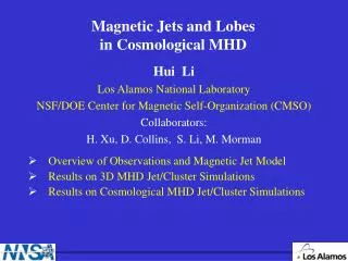 Magnetic Jets and Lobes in Cosmological MHD