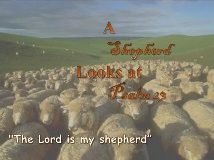 a shepherd looks at psalm 23