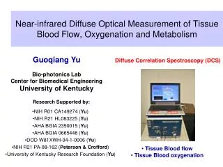Near-infrared Diffuse Optical Measurement of Tissue Blood Flow, Oxygenation and Metabolism