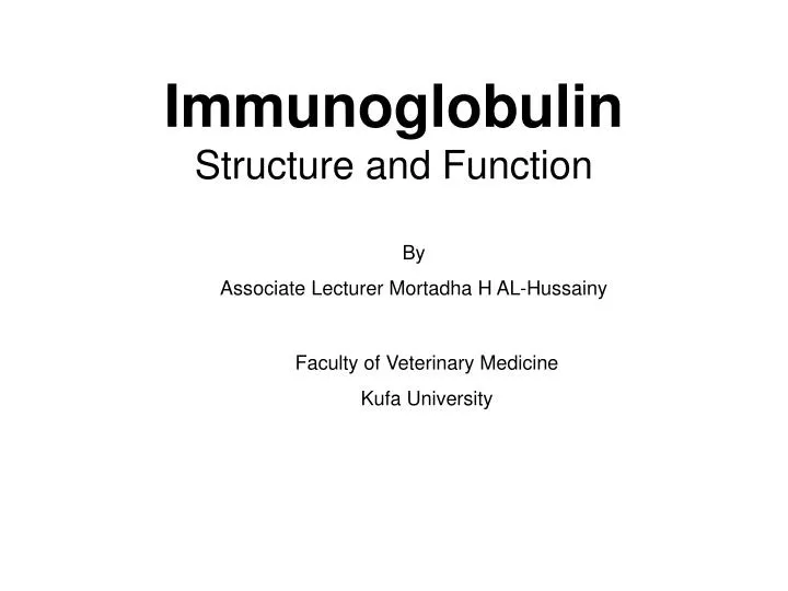 immunoglobulin structure and function