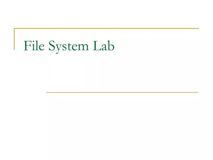 file system lab