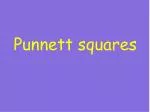 Punnett squares - slide 1