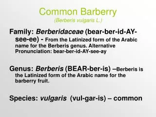 Common Barberry (Berberis vulgaris L.)