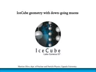 IceCube geometry with down-going muons