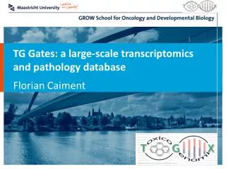 TG Gates: a large-scale transcriptomics and pathology database