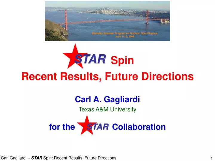 spin recent results future directions