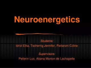 Neuroenergetics