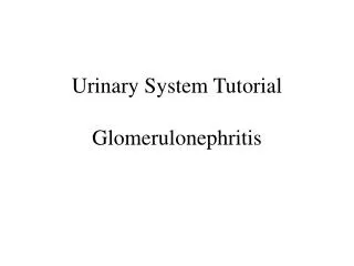 Urinary System Tutorial Glomerulonephritis