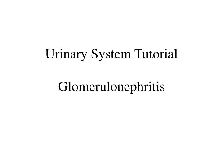 urinary system tutorial glomerulonephritis