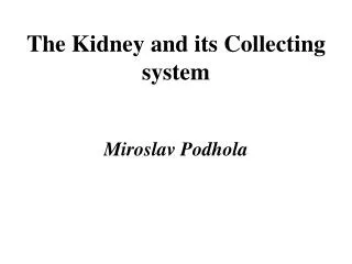The Kidney and its Collecting system
