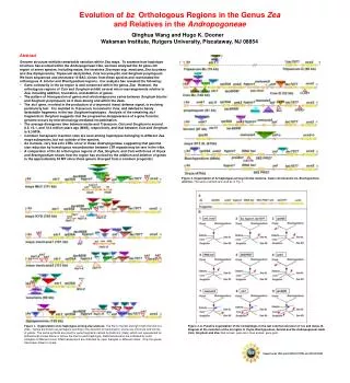 Evolution of bz Orthologous Regions in the Genus Zea and Relatives in the Andropogoneae