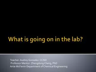 What is going on in the lab?