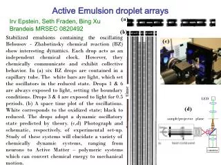 Active Emulsion droplet arrays