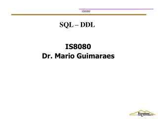 IS8080 Dr. Mario Guimaraes