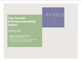 The Danish Entrepreneurship Index Istanbul, 2007