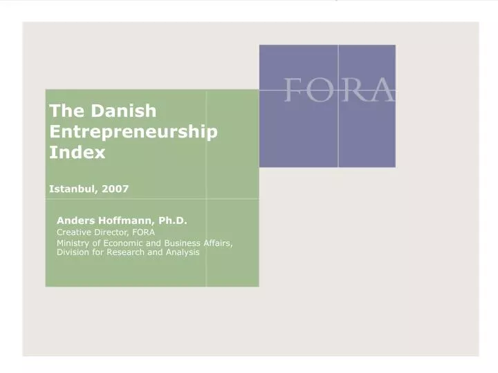 the danish entrepreneurship index istanbul 2007