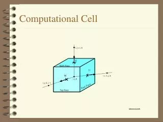 Computational Cell