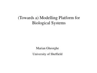 (Towards a) Modelling Platform for Biological Systems