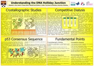 Understanding the DNA Holliday Junction