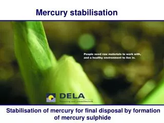 Mercury stabilisation