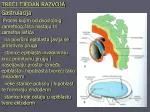 TREĆI TJEDAN RAZVOJA Gastrulacija - slide 1