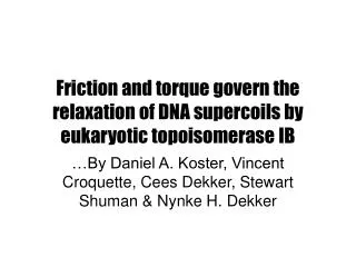 Friction and torque govern the relaxation of DNA supercoils by eukaryotic topoisomerase IB