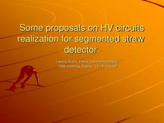 Some proposals on HV circuits realization for segmented straw detector