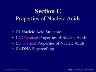 Section C Properties of Nucleic Acids