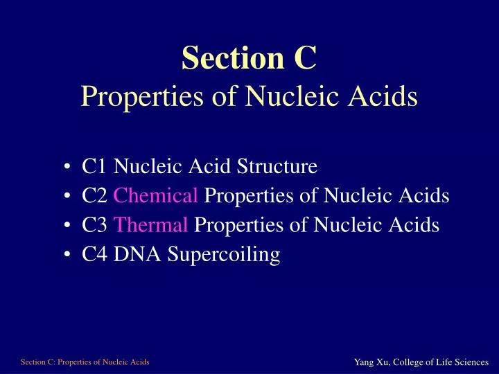 section c properties of nucleic acids