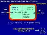 Understanding Mass Balance in Non-Isolated Systems: Mass Transport and Equilibrium Conditions - slide 1