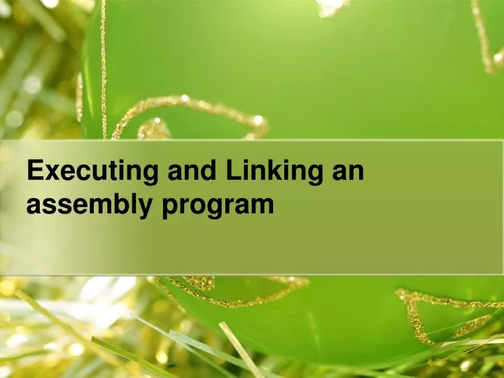 executing and linking an assembly program