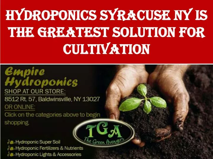 hydroponics syracuse ny is the greatest solution for cultivation