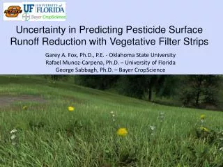 Uncertainty in Predicting Pesticide Surface Runoff Reduction with Vegetative Filter Strips